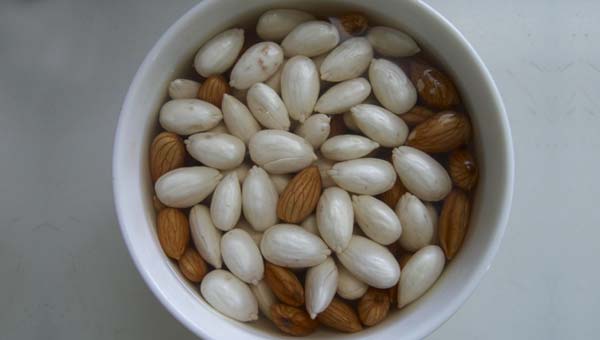 Conheça as propriedades terapêuticas e nutricionais do Broto de Amêndoa, um Milagroso alimento Funcional capaz de curar muitos Males Conheça as propriedades terapêuticas e nutricionais do Broto de Amêndoa, um Milagroso alimento Funcional capaz de curar muitos Males